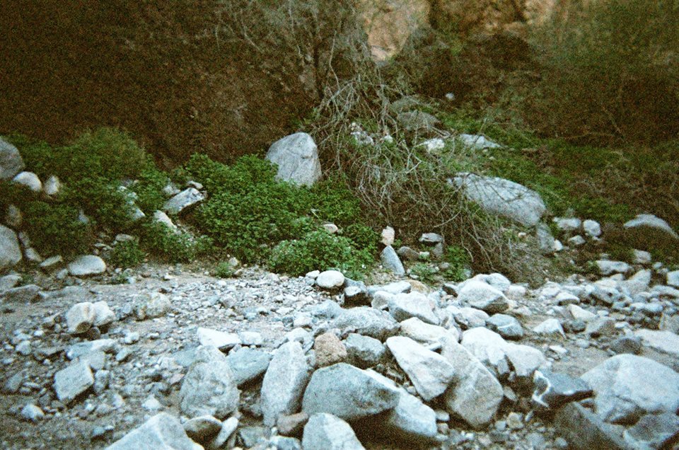 arizona springs