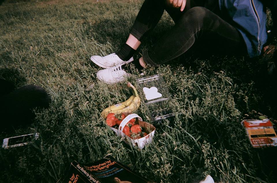 picnic