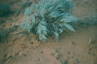 places category